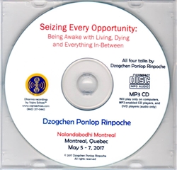 Seizing Every Opportunity (MP3CD)