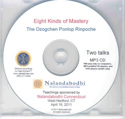 Eight Kinds of Mastery  (MP3CD)