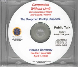 Compassion Without Limit: The Courageous Heart and Lojong Practice (CD Public Talk)