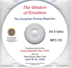 Wisdom of Emotions (MP3CD)
