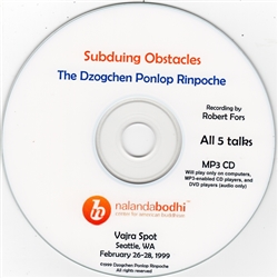 Subduing Obstacles (MP3 CD)