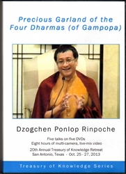 Precious Garland of the Four Dharmas of Gampopa (DVDs)