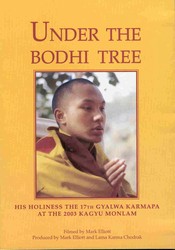 Under The Bodhi Tree (DVD)