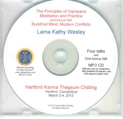 The Principles of Vajrayana Meditation and Practice and Buddhist Mind, Modern  Conflicts (MP3 CD)