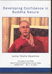 Developing Confidence in Buddha Nature (DVD)