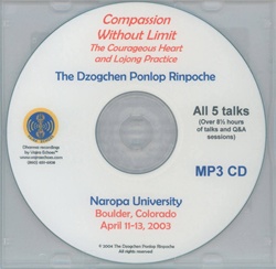 Compassion Without Limit: The Courageous Heart and Lojong Practice (MP3)