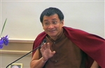 Emotions as the Path, Not the Problem (Dzogchen Ponlop Rinpoche) (ADN)