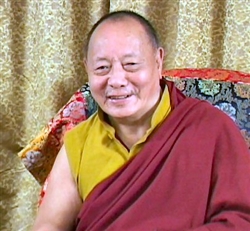 Gampopa's Assembly Dharmas: Garland of Pearls (Full Set) (ADN)
