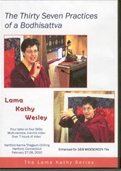 The 37 Practices of a Bodhisattva (DVD)