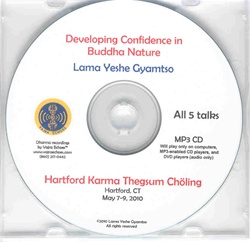 Developing Confidence in Buddha Nature (MP3)